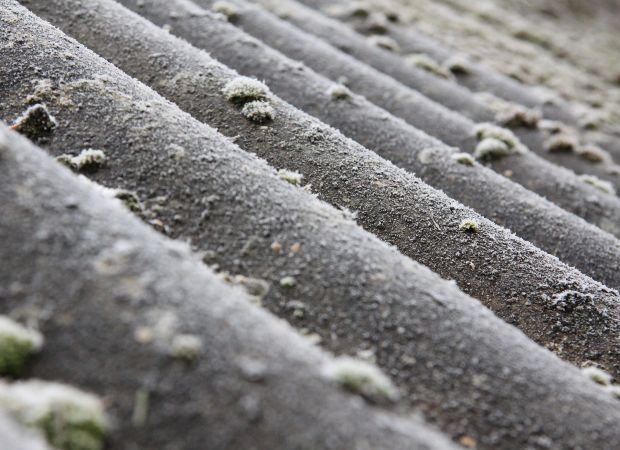 Toiture en plaques ondulées fibrociment amiante couverte de mousse